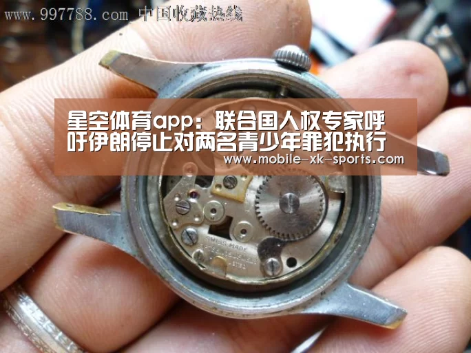 星空体育app:联合国人权专家呼吁伊朗停止对两名青少年罪犯执行死刑(图2) 星空体育团队