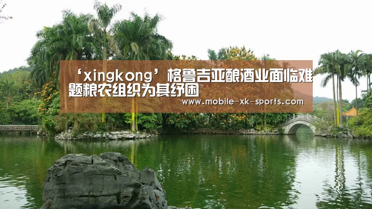 ‘xingkong’格鲁吉亚酿酒业面临难题粮农组织为其纾困(图2) 星空体育app